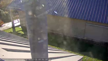 2025-10-17
