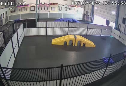 2025-08-10