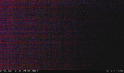 2025-08-09