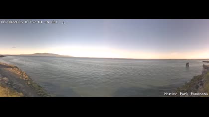 2025-08-08