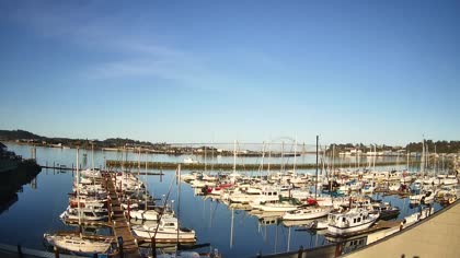 2026-05-11