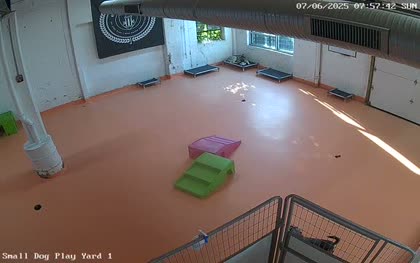 2025-07-06