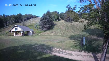 2025-08-15