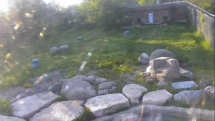 2025-06-15