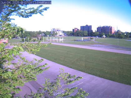 2025-06-04