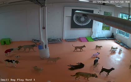 2025-10-14