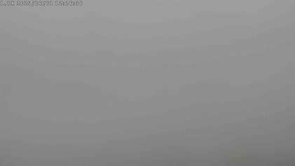 2025-06-01