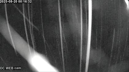 2025-08-20