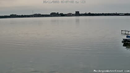 2026-08-11