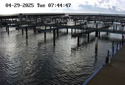 2025-04-29