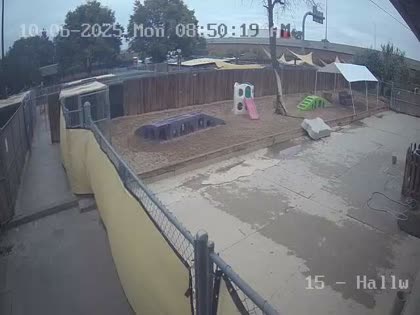 2025-10-06