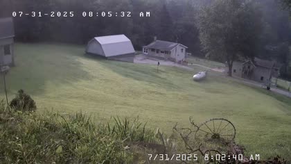 2025-07-31