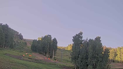 2025-07-08