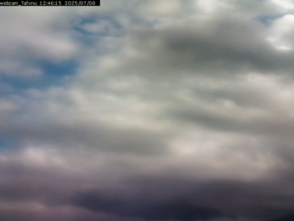 2025-07-08