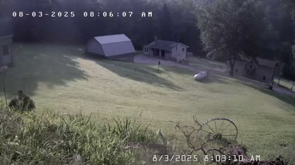 2025-08-03