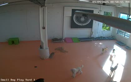 2025-09-04