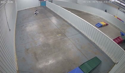 2025-10-19
