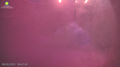2025-08-05