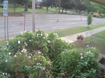 2025-07-09