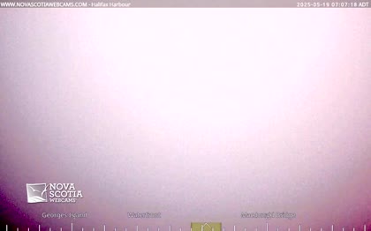 2025-05-19