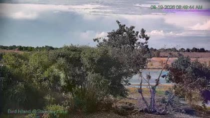 2026-08-19