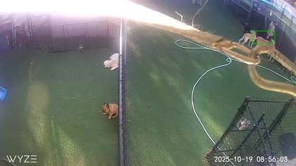 2025-10-19