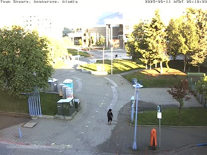 2025-06-11