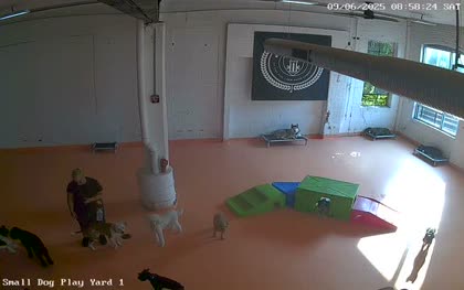 2025-09-06