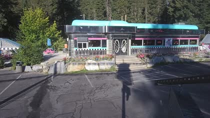 2025-08-11
