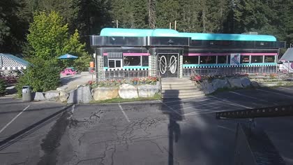 2025-08-09