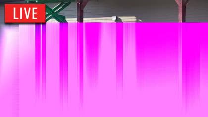 2026-07-15