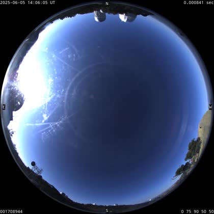 2025-06-05