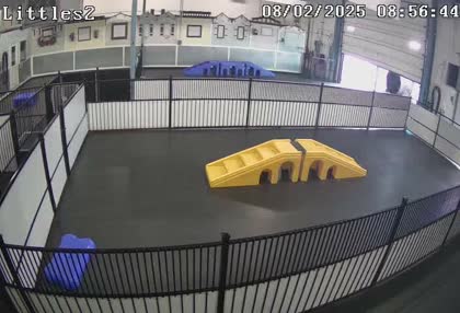 2025-08-02