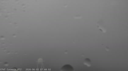 2026-06-02