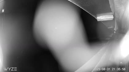 2025-09-01