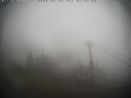 2025-07-15