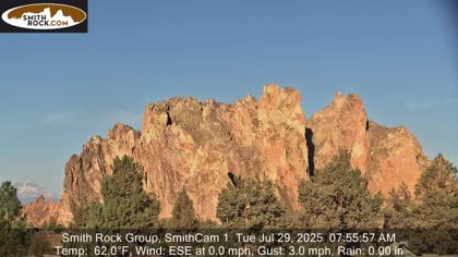2025-07-29