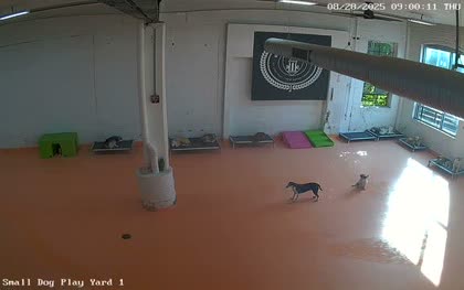 2025-08-28