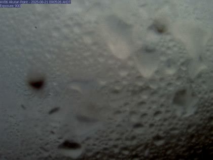 2025-08-21