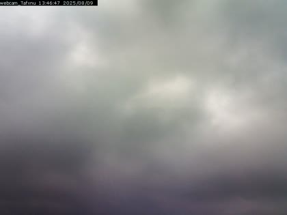 2025-08-09