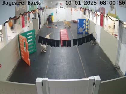 2025-10-01