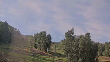 2025-07-19