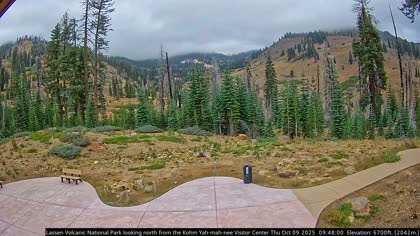 2025-10-09