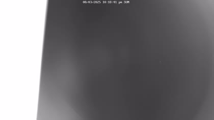 2025-08-04