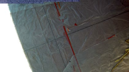 2025-08-08