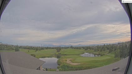 2025-06-17