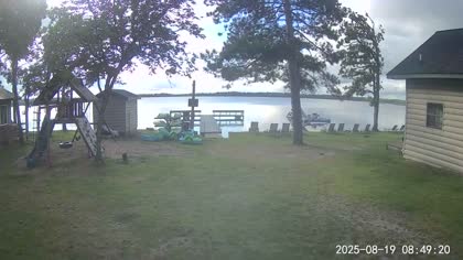 2025-08-19