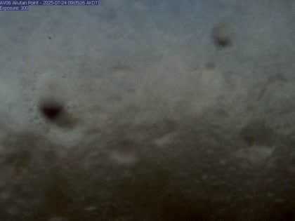 2025-07-24