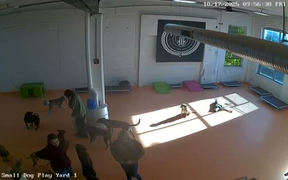 2025-10-17