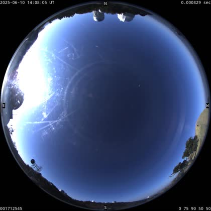 2025-06-10